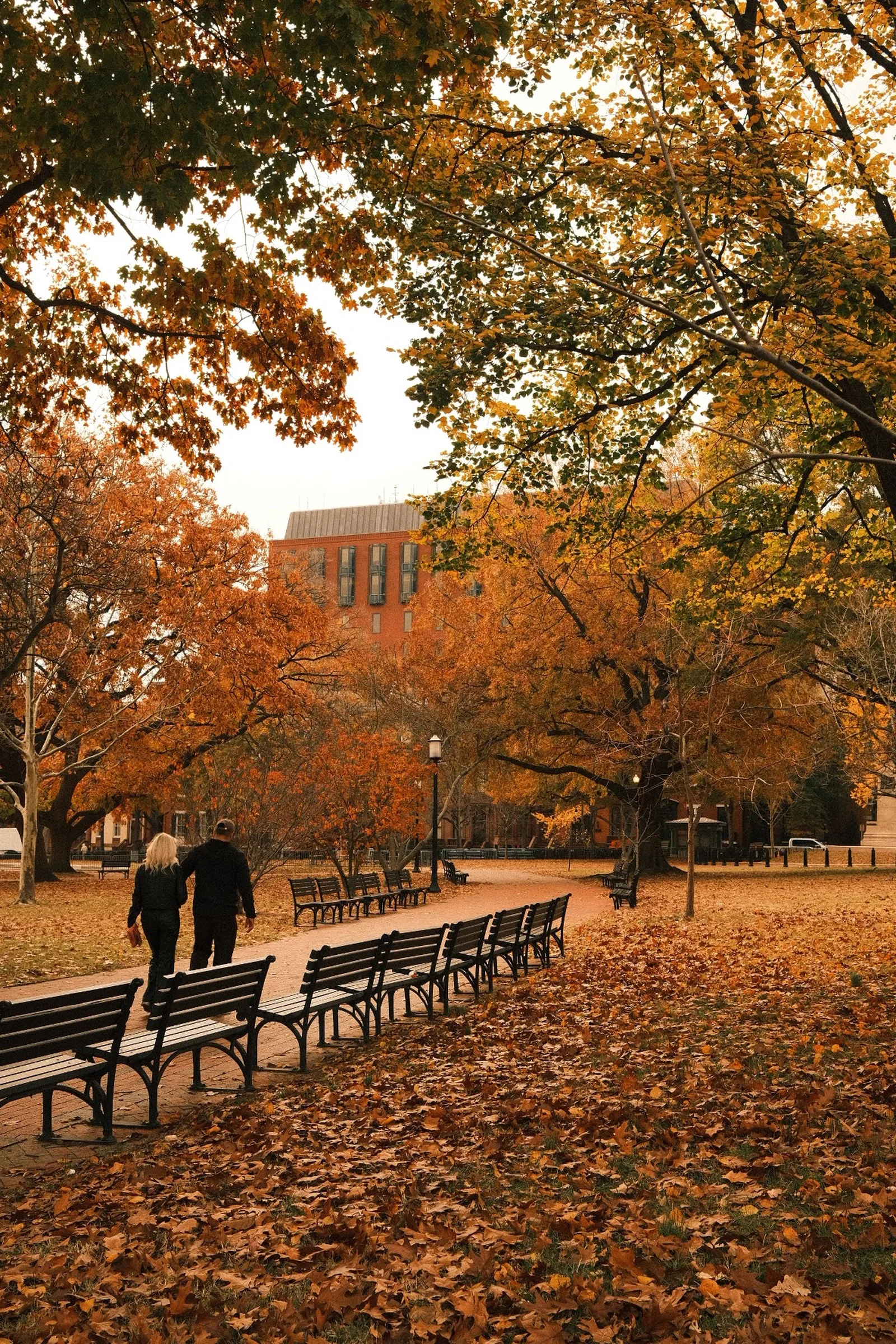 People walking through an autumn campus